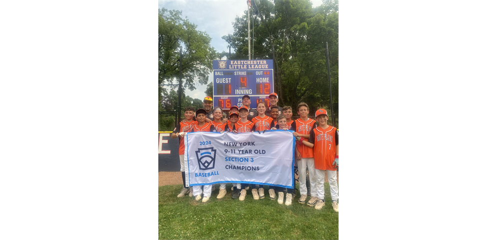 Congrats 11u! Section 3 Champions! On to States!